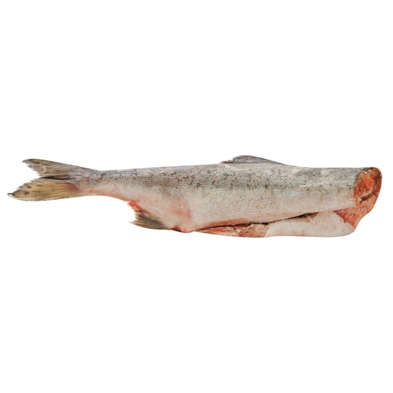 Горбуша б/г Народы севера